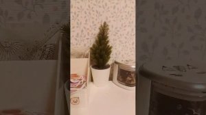 показываю оброзы в школу 5 класс