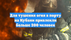 Для тушения огня в порту на Кубани привлекли больше 200 человек