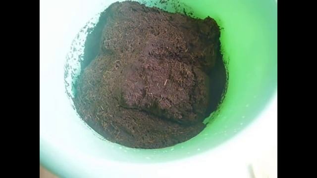 2153.  Торфяной и кокосовый брикет.