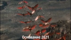 Подборка Фильмов