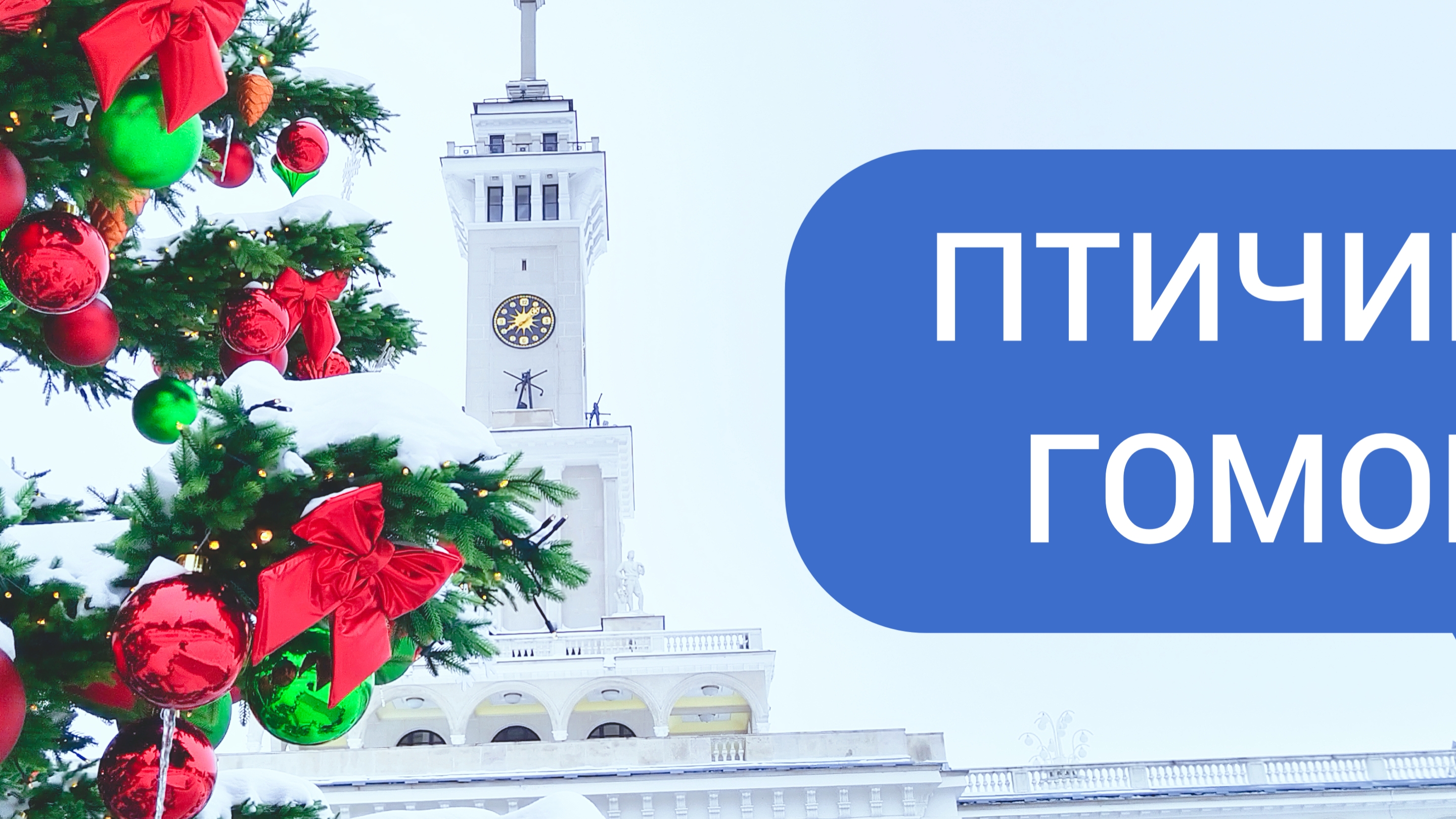 Птичий гомон в парке смотреть онлайн