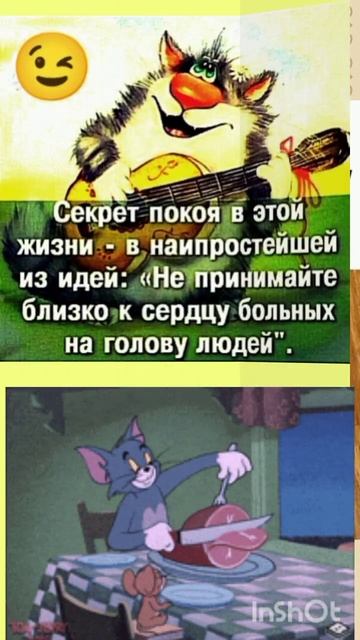 ВЗРОСЛАЯ ЖИЗНЬ- ЭТО КОГДА..🤣🤣🤣💖💖💖👍 смотреть онлайн