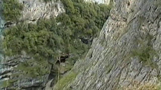 Поездка в Кисловодск Оцифровка VHS-Compact смотреть онлайн