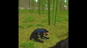 Насте ВИЛЛ КРАФТ (и ей и всем)