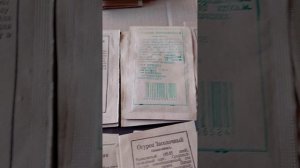 Обзор самых дешевых семян из гипермаркетов. Всходят ли дешевые семена?