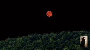 Проект песни Эвы Шервуд к художественному фильму "Шёпот пепла"