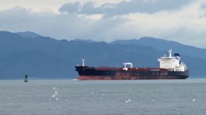 Посольство России выясняет, есть ли на задержанном Францией танкере россияне