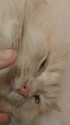 ну вы посмотрите на него