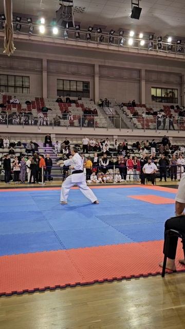 Сенсей - Кара Юрий Михайлович (ката) смотреть онлайн