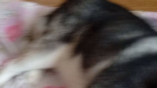 Annat 24 часа с Сэмой на кровати смотреть онлайн