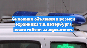 Силовики объявили в розыск охранника ТЦ Петербурга после гибели задержанного