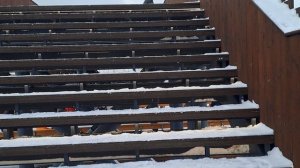 Я у Финского залива !!!