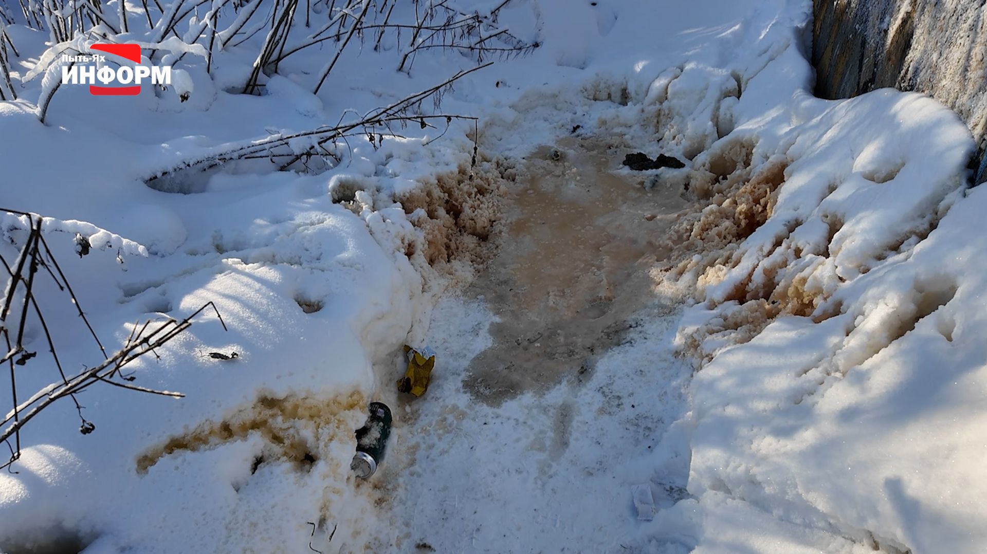 Вандалы в сквере на Привокзальной площади смотреть онлайн