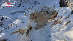 Вандалы в сквере на Привокзальной площади