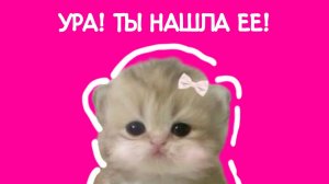 Уборочка на столе✨🌷