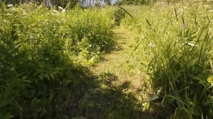 Один день пчеловода