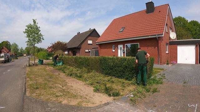 Кусторез. Укорачивание живой изгороди из бирючины вдвое смотреть онлайн