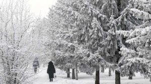 Жителей центральной России попросили остаться дома из-за аномальных морозов