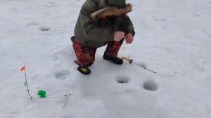 22.01.26 г. РК Волна.