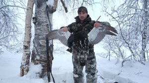 ОХОТА НА ГЛУХАРЯ ЗИМОЙ НА ЛУНКАХ. ХОРОШО ВЗЯЛ ДВА СТВОЛА. На СМ-003 за луговыми глухарями.