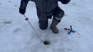 Поимки на запуске