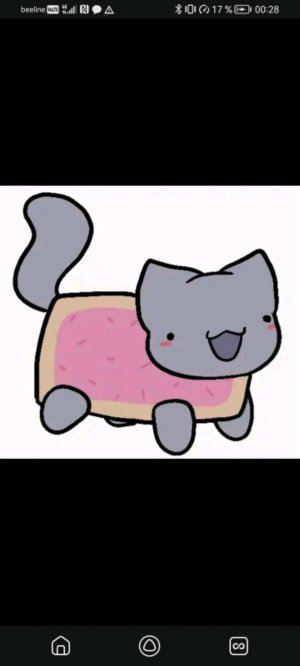 влог🎀 (пишите в комм)