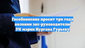 Гособвинение просит три года колонии экс-руководителю УК мэрии Кургана Гурьеву