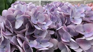 ЛЕМАНА ПРО | ВЕСНА 2026 НОВИНКИ | ОБЗОР ДЕКОР для ДОМА