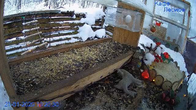 24 LIVE Главная Кормушка смотреть онлайн