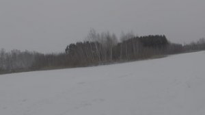 22-01-2026 день в СНТ 4