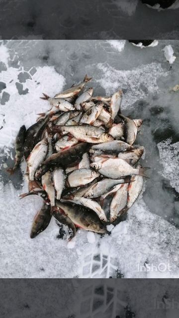 Зимняя в астраханской области.mp4 смотреть онлайн