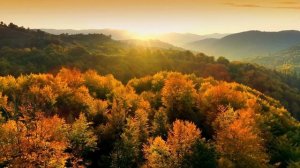 Inspiring Uplifting Background Music   Music for Videos