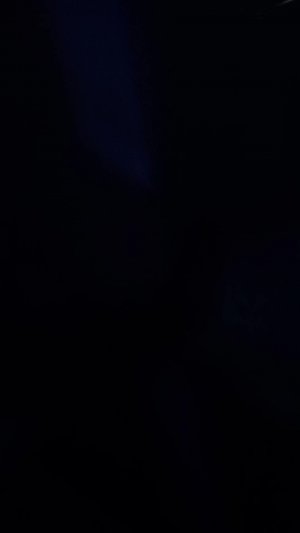 Здравствуй утро!