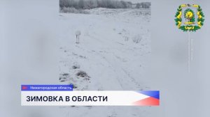 Молодой аист поселился у села Перевоз в Нижегородской области