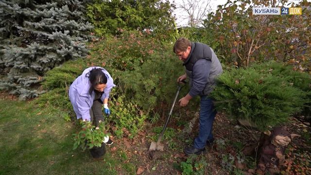 Как сочетать декоративные растения на участке? ЗЕМЛЕХОД смотреть онлайн