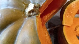 "МУСКАТ ДЕ ПРОВАНС". СОРТ ТЫКВЫ.