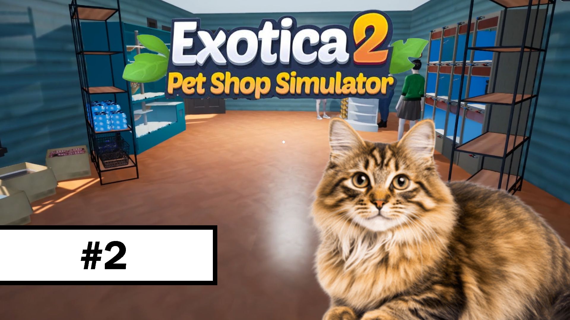 Exotica 2: Pet Shop Simulator ➤ Прохождение без комментариев | #2 смотреть онлайн