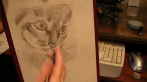 Рисуем за семь дней День 6 Кошка