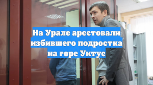 На Урале арестовали избившего подростка на горе Уктус