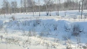 Садимся в поезд / Поезд Уфа -Новый Уренгой / Зимой в поезде