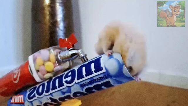 Маленький хомячок грабит банк и оказывается в окружении! Пройдя через опасный лабиринт, он убегает смотреть онлайн