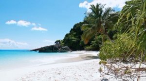 ИННА СУДАКОВА НОВЫЕ ПРАВИЛА