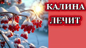 Хвалила себя КАЛИНА, что она с мёдом хороша.