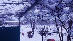 20 января 2026 г Влог про жизнь пенсионеров с внуками на Кубани