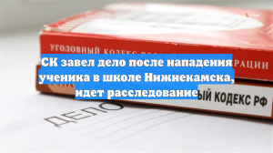 СК завел дело после нападения ученика в школе Нижнекамска, идет расследование