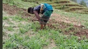 17серия/Жизнь в горной деревне Непала | в непальской бедной, но счастливой семье