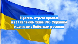 Кремль отреагировал на заявление главы МО Украины о цели по убийствам россиян