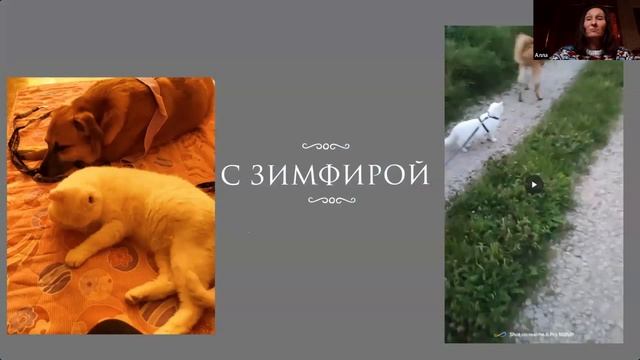 Алла и Чунья для рубрики собака_с_изюмом