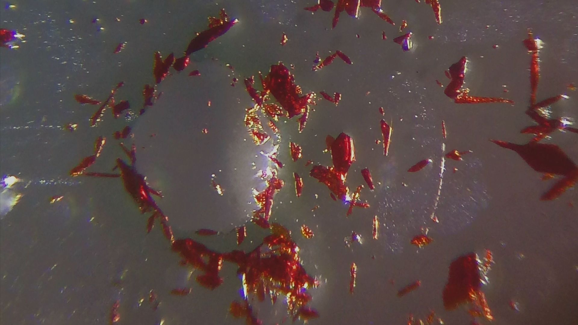 Мелодия из мусора смотреть онлайн