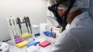 В России разработали препарат для терапии гепатита В на основе CRISPR